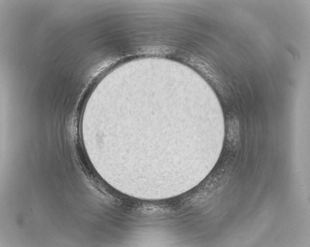 X0000114430632200911271618