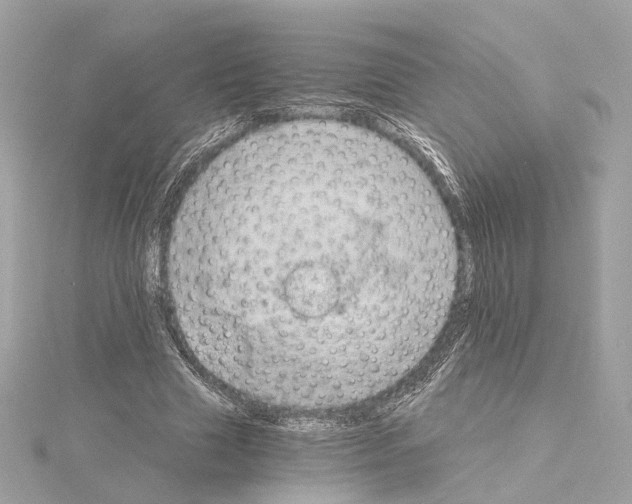 X0000114430633200911271618