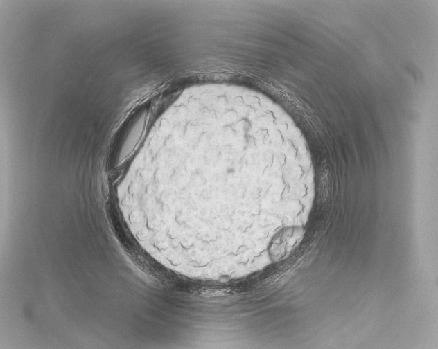X0000114430638200911271618