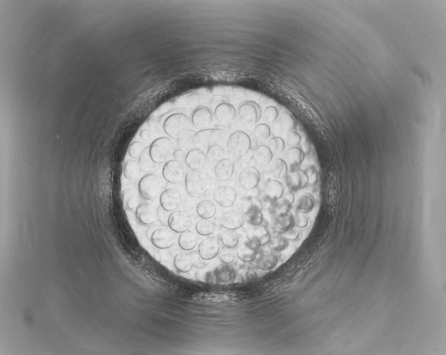 X0000114430639200911271618