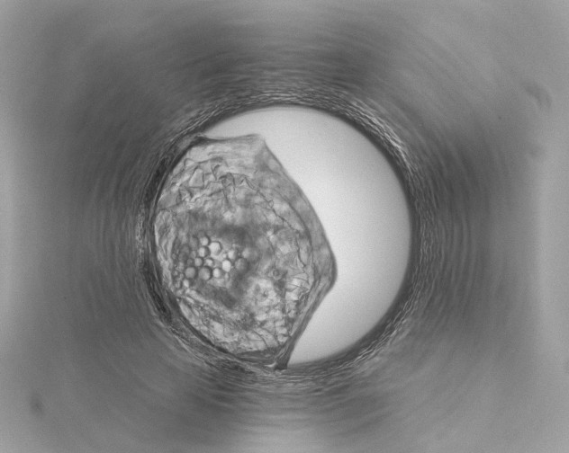 X0000114430641200911271618