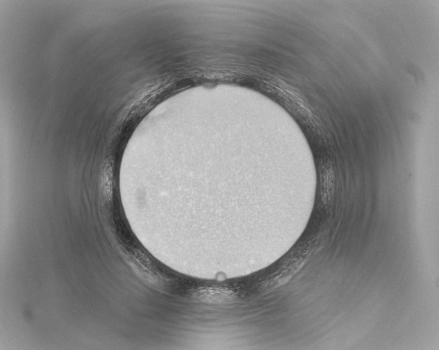 X0000114430644200911271618
