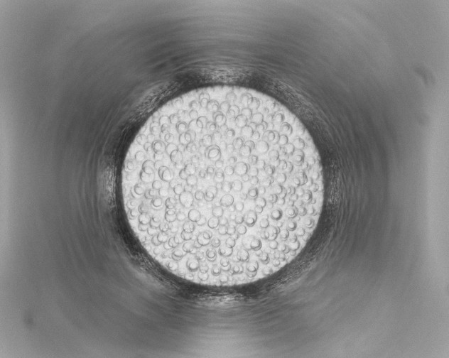 X0000114430646200911271618