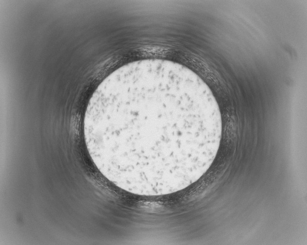 X0000114430649200911271618