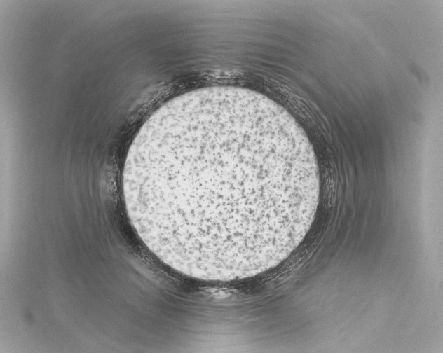 X0000114430654200911271618
