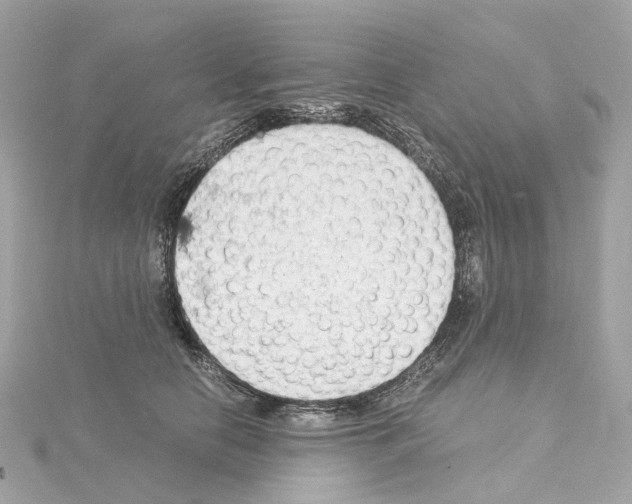 X0000114430658200911271618