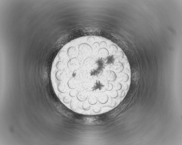 X0000114430662200911271618