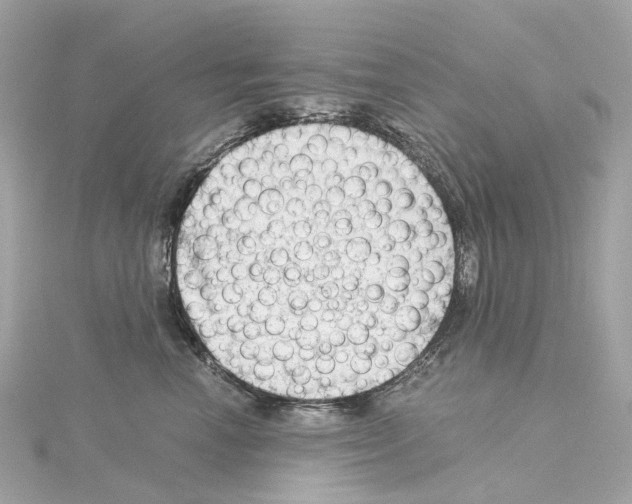 X0000114430666200911271618