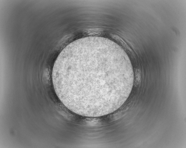 X0000114430667200911271618