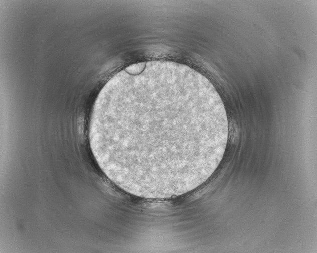 X0000114430670200911271618