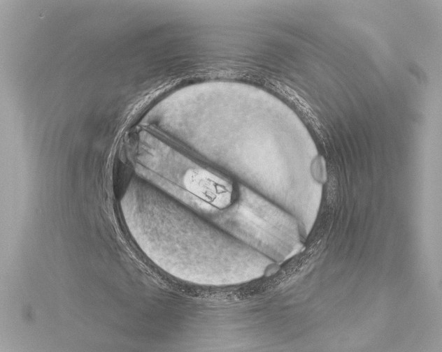 X0000114430673200911271618
