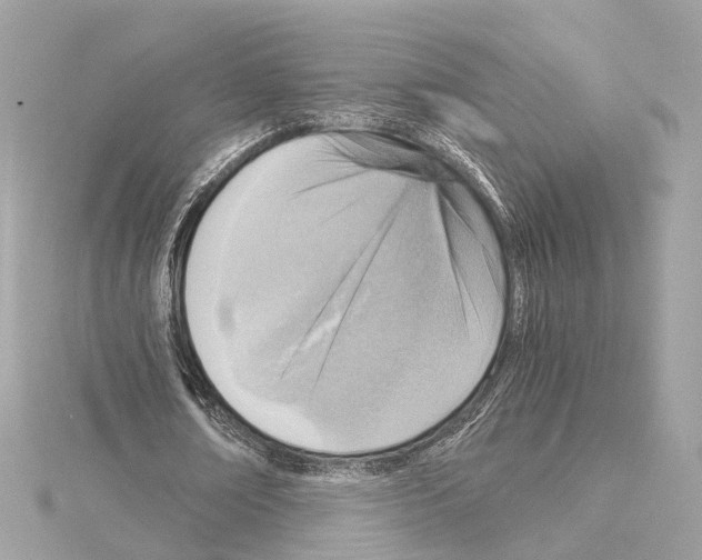 X0000114430674200911271618