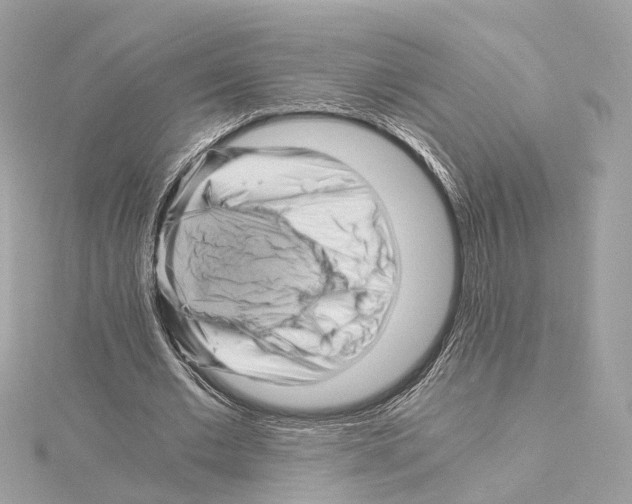 X0000114430677200911271618