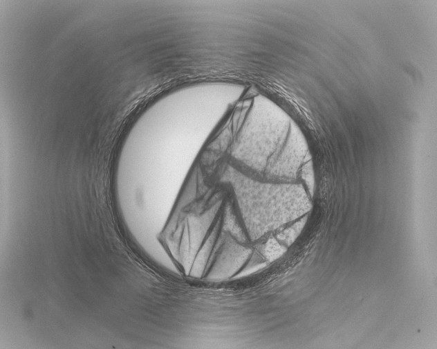 X0000114430689200911271618