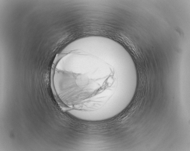 X0000114430697200911271618