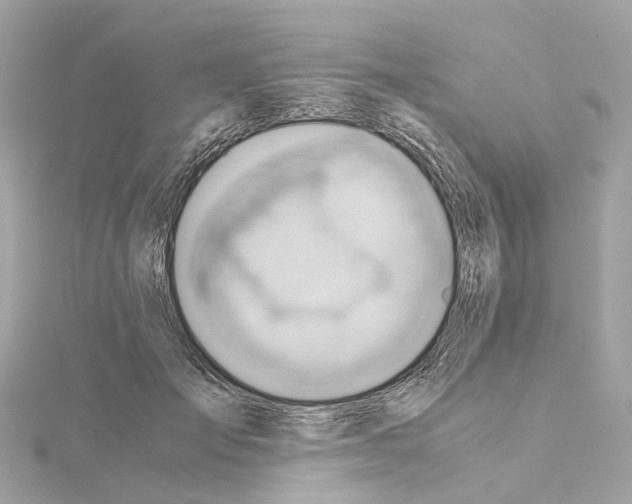 X0000114430701200911271618