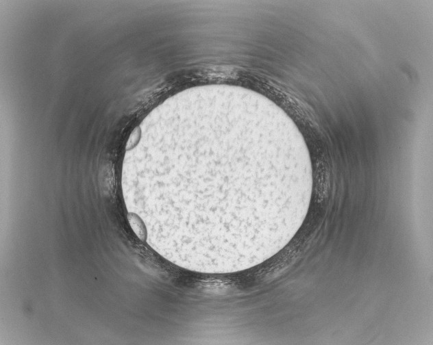 X0000114430704200911271617