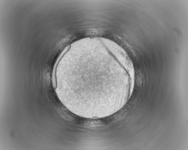 X0000114430716200911271617