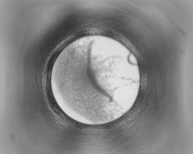 X0000114430722200911271617