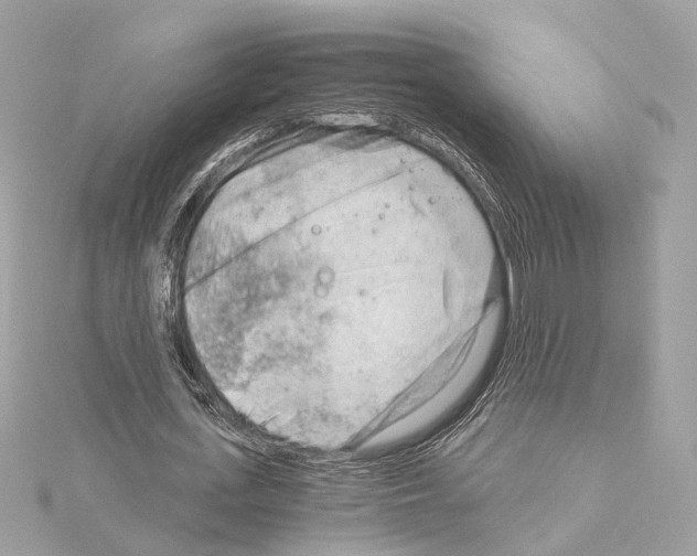 X0000114430723200911271617