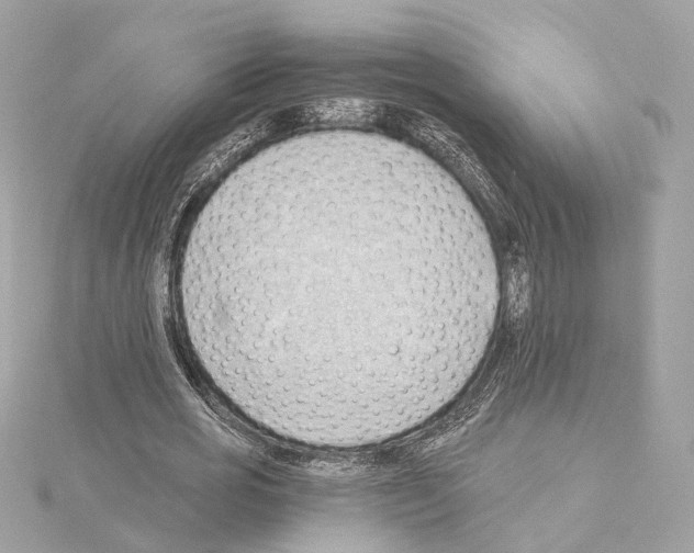 X0000114430725200911271617