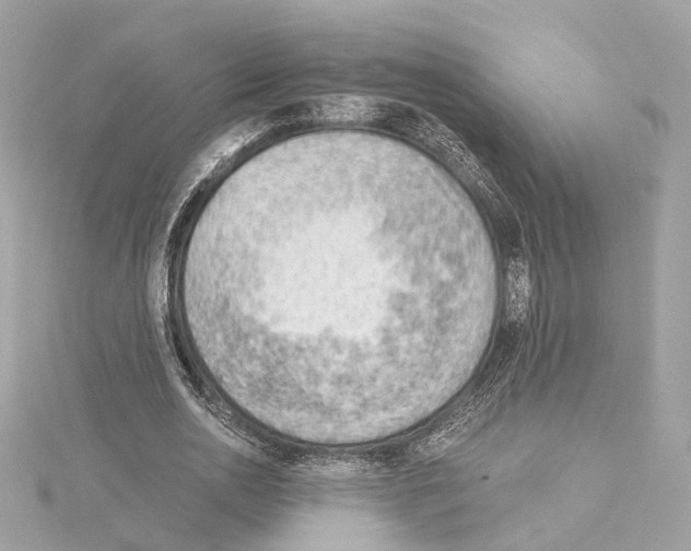 X0000114430726200911271617