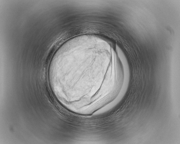 X0000114430735200911271617