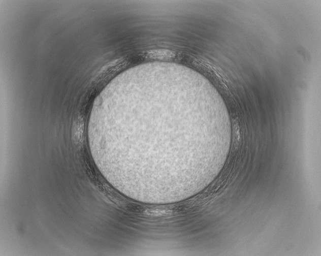 X0000114430745200911271617