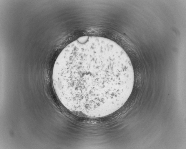 X0000114430751200911271617