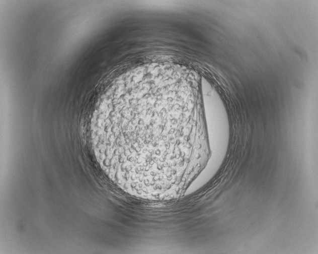 X0000114430759200911271617