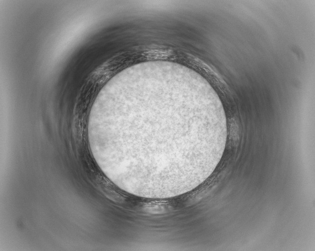 X0000114430761200911271617