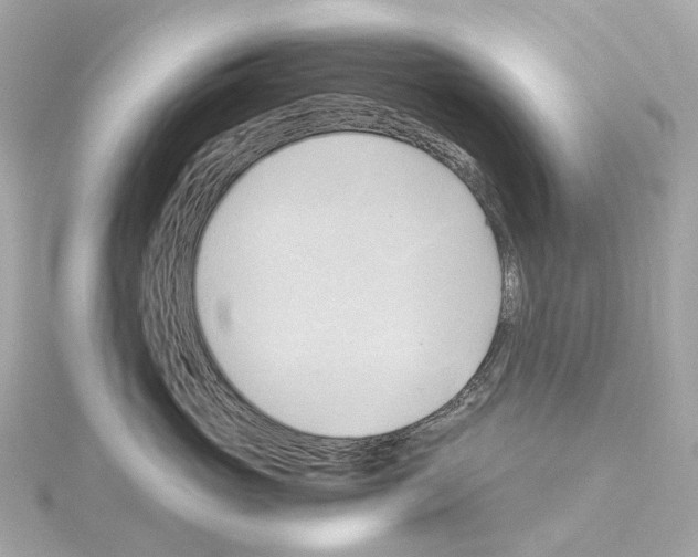 X0000114430765200911271617