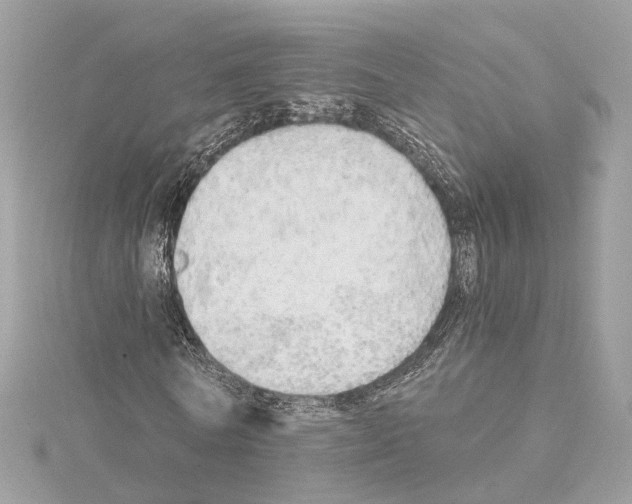 X0000114430770200911271617