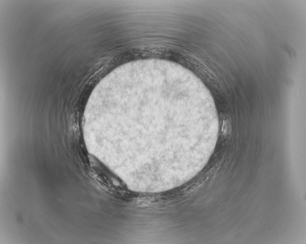 X0000114430771200911271617