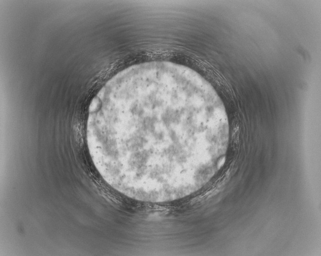 X0000114430772200911271617