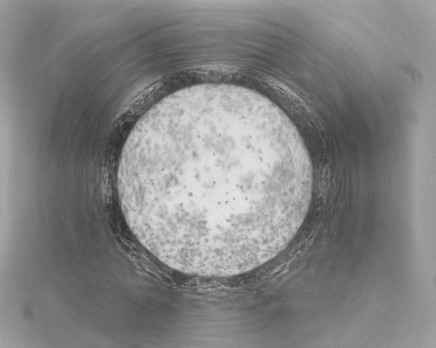 X0000114430774200911271617