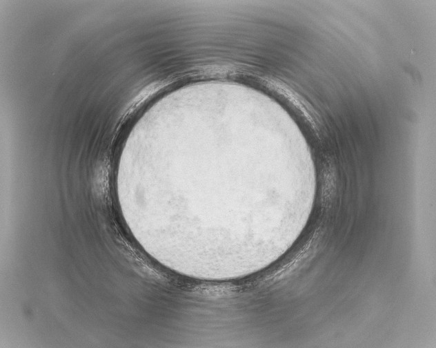 X0000114430778200911271617