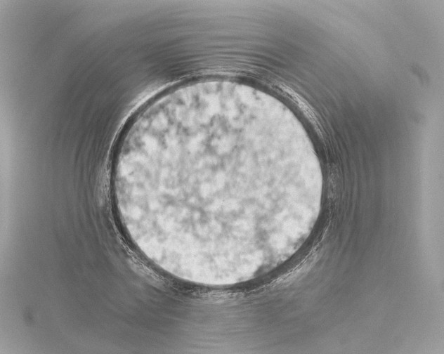 X0000114430779200911271617