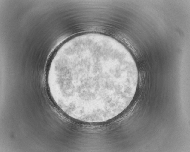 X0000114430780200911271616