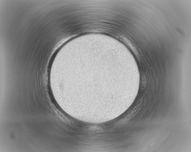 X0000114430787200911271616