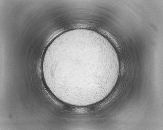 X0000114430794200911271616