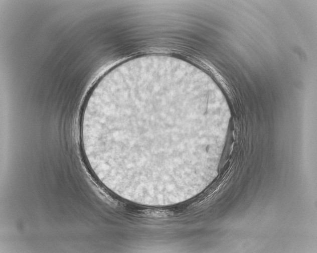 X0000114430795200911271616