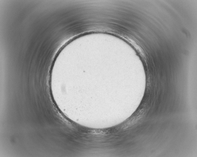 X0000114430799200911271616