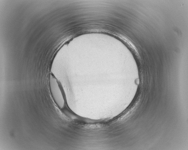 X0000114430801200911271616