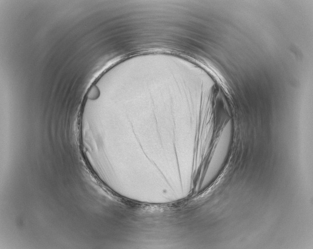 X0000114430806200911271616