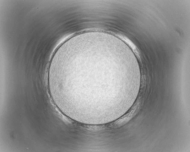 X0000114430807200911271616