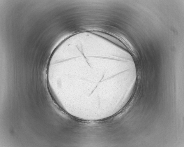 X0000114430814200911271616