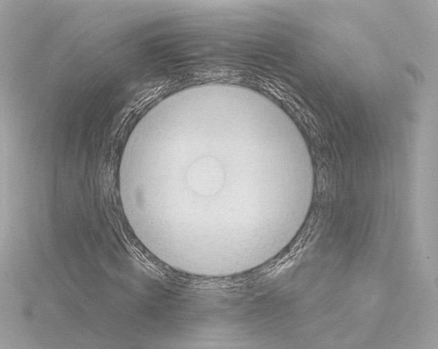 X0000114430820200911271615