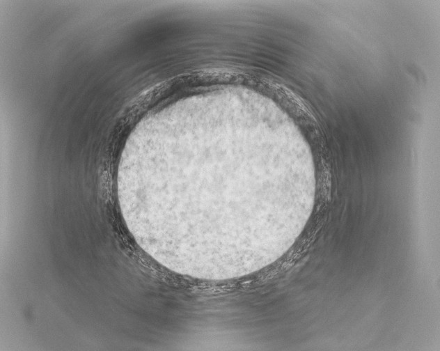 X0000114430821200911271615