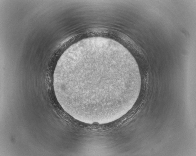 X0000114430822200911271615